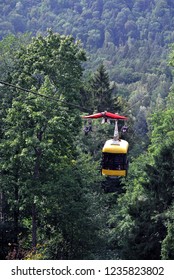 Forest cable car