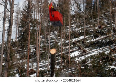 a forest cableway for transportation of wood and timber in forestry