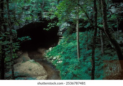 forest cave entrence dark experience 