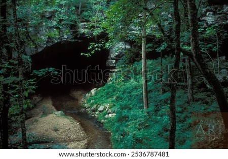 forest cave entrence dark experience 