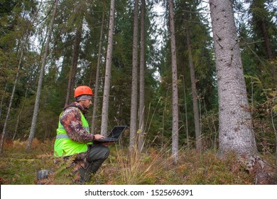 Forest Certification And Forest Stewardship Council. Forest Engineer Works In The Forest With A Computer.