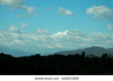 Forest and cloud as background