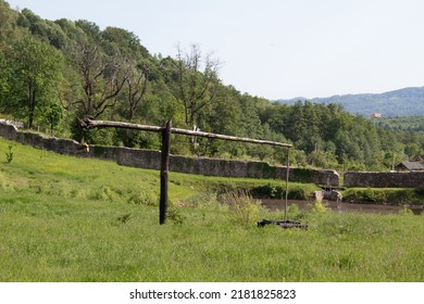 Forest And Countryside In Wallachia, Romania 