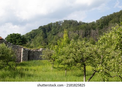 Forest And Countryside In Wallachia, Romania 