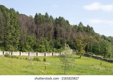 Forest And Countryside In Wallachia, Romania 