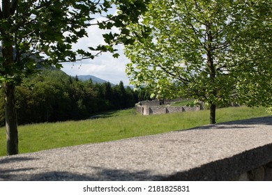 Forest And Countryside In Wallachia, Romania 