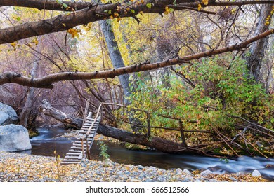 The forest creek in autumn - Shutterstock ID 666512566