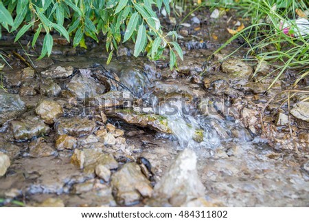 Forest creek close up. ?rystal clear water polishes stones at the bottom