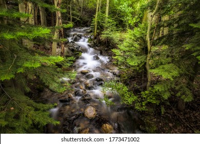 Forest creek water flow on stones - Powered by Shutterstock