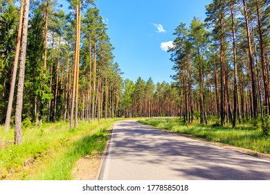 Forest Cycling Road Near Lake Nidzkie In Puszcza Piska, Mazury Lake District, Poland