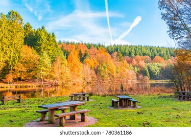 Forest Of Dean England