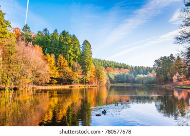 Forest Of Dean England