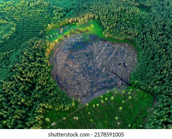 Forest destruction and felling of trees, drone view. Deforestation forest and Illegal logging. Cutting trees. Stacks of cut wood. Forests illegal disappearing. Deforestation, Forest destruction.   - Powered by Shutterstock