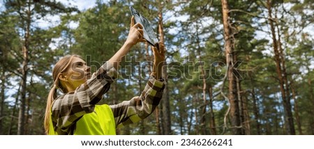 forest development and management. valuation and appraisal of forest. appraiser taking pictures of trees, biomass estimation. banner with copy space