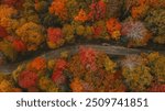 Forest Dirt Road Autumn Fall Foliage New England Aerial View Beautiful Colors in Stowe, Vermont. Landscape Drone Photography Nature