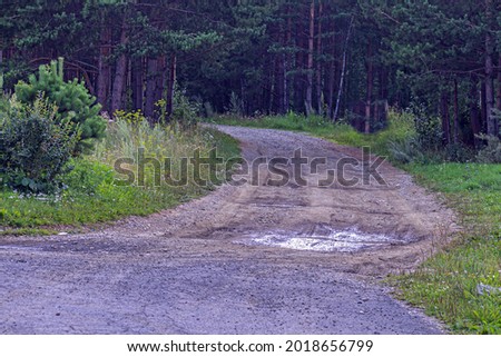 A forest dirt road begins after an asphalt one Foto stock © 
