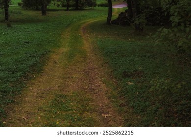 A forest dirt road, overgrown with grass. Cold, evening October - Powered by Shutterstock