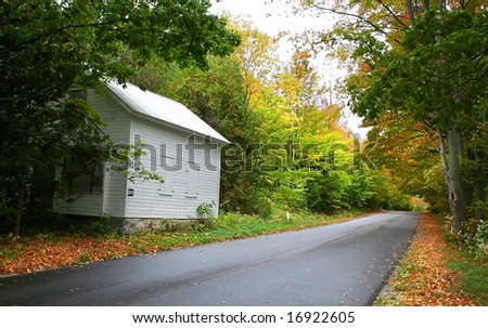 Forest Drive