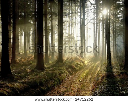 Similar – Image, Stock Photo walk in the mist