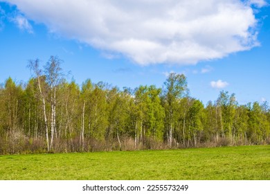 Forest edge at a meadow with budding trees - Shutterstock ID 2255573249