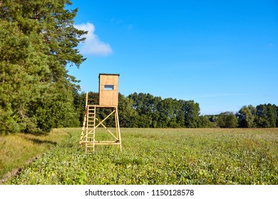 Forest Edge Wooden Deer Hunting Blind Stock Photo 1150128578 | Shutterstock