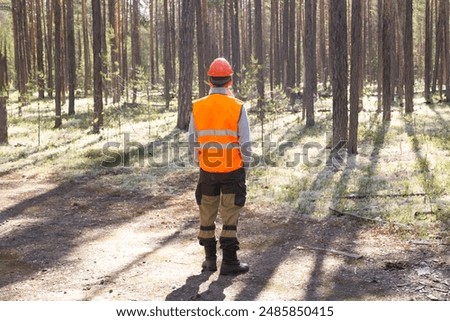 A forest engineer conducts tree research in the forest.