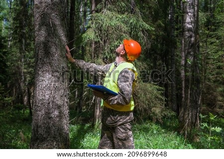 The forest engineer is engaged in the taxation of the forest area.