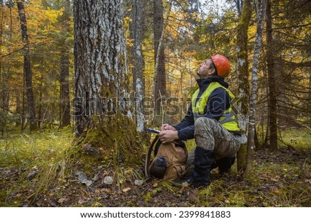 A forest engineer inspects a forest planting. man, 45 years old. Looks up.