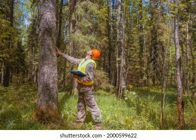 The forest engineer oversees the development of the forest. The ecologist works in the forest.