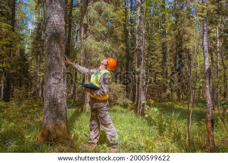 The forest engineer oversees the development of the forest. The ecologist works in the forest.