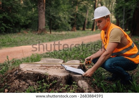 Forest engineer taking measurements of a tree stump in a park, using a measuring tape and clipboard