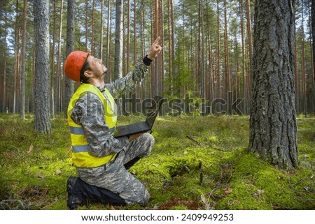Forest engineer works in the forest with a computer. Trees appear on the computer screen.