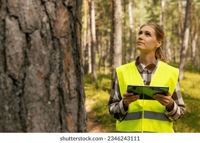 forest evaluation, development and management - female forestry engineer or appraiser working with digital tablet in the woods