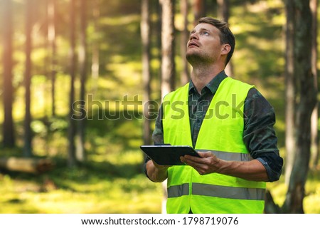 forest evaluation and management - forestry engineer working with digital tablet in the woods