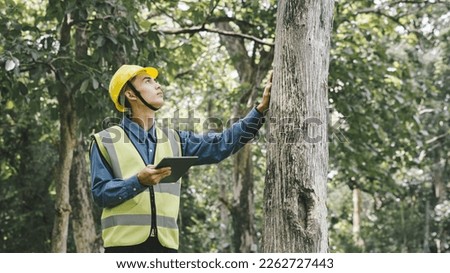 Forest evaluation and management - forestry engineer working with digital tablet in the woods.