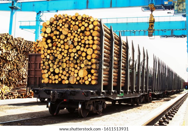 Forest\
Export. Transportation of timber by rail\
cars.