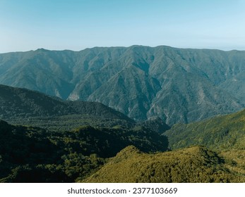 Forest of Fanal, Madeira, Portugal - Powered by Shutterstock