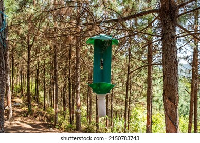 Forest Farm Pest Control Insect Trap