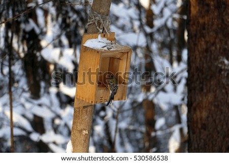 Similar – Image, Stock Photo touché Environment Nature