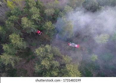 Forest and field fire. Burning of dry grass, natural disaster. Aerial view. After the fire, the ground is covered with a black and burning layer. Fire truck and firefighters extinguish the fire. Europ