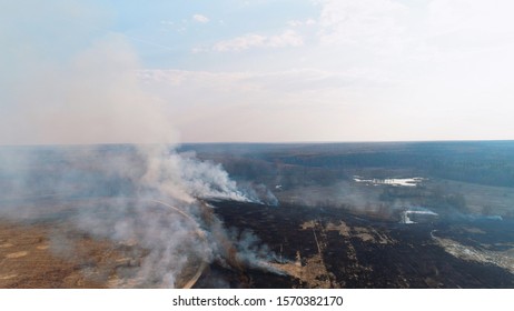 Forest And Field Fire. Dry Grass Burns, Natural Disaster. Aerial View. Extensive Burning Of Grass And Shrubs, All Around Is Obscured By Haze.