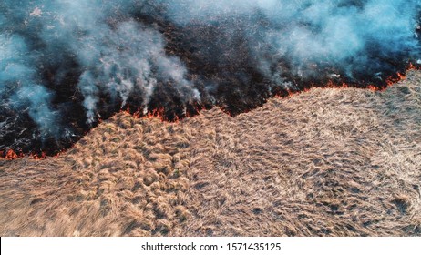 Forest and field fire. Dry grass burns, natural disaster. Aerial view. After the fire, the ground is covered with a black layer of burning and ash. View vertically down, Shooting from a small height
