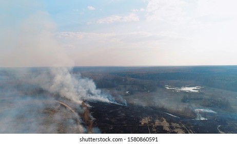 Forest And Field Fire. Dry Grass Burns, Natural Disaster. Aerial View. Extensive Burning Of Grass And Shrubs, All Around Is Obscured By Haze.