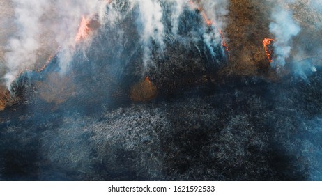 Forest and field fire. Dry grass burns, natural disaster. Aerial view. After the fire, the ground is covered with a black layer of burning and ash. View vertically down