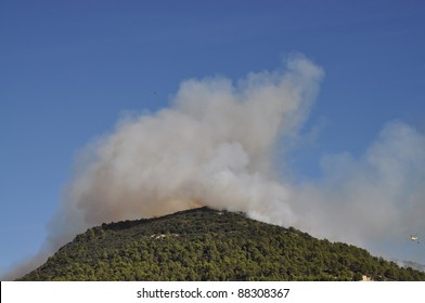 Forest fire