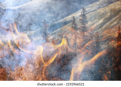 forest fire background landscape, abstract fire and smoke in the forest, drought trees are burning