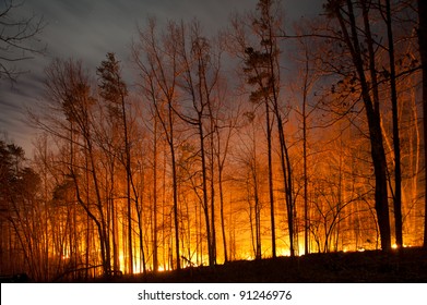 Forest Fire Burning at Night