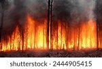 Forest fire catastrophe wildfire disaster heat bushfire
