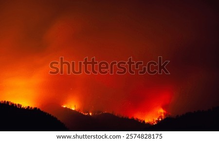 A forest fire is a condition caused by excessive wind and drying that destroys natural resources.