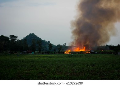 Forest fire danger